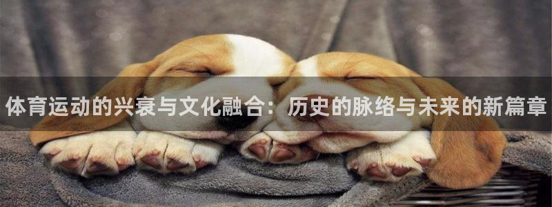 必发官网下载招商电话是多少啊：体育运动的兴衰与文化融