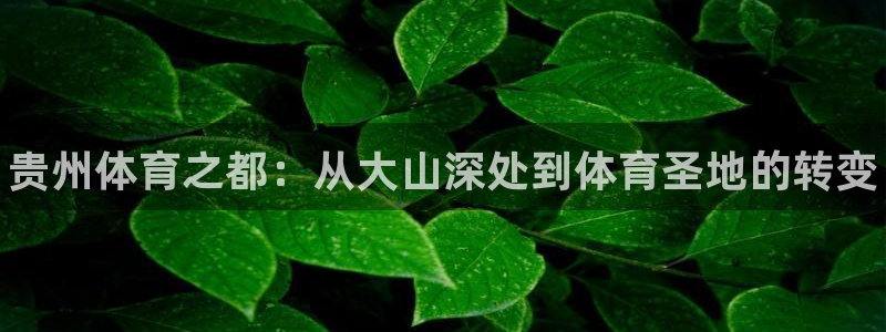 必发官网下载平台是正规平台吗：贵州体育之都：从大山深