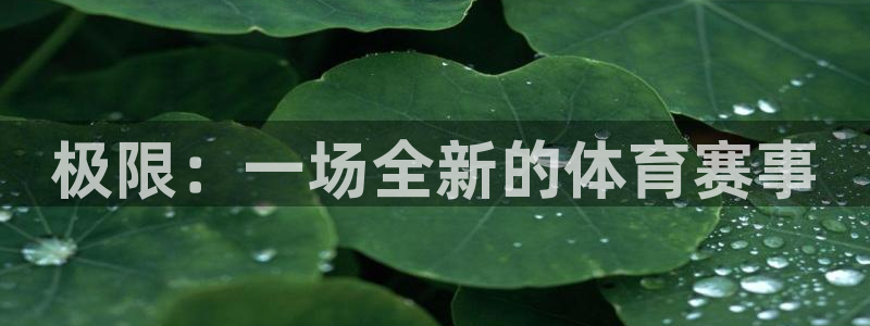 必发官方正版app集团官网网址：极限：一场全新的体育赛事