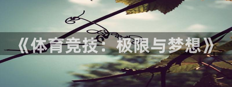 必发官方正版app娱乐首页官网下载：《体育竞技：极限