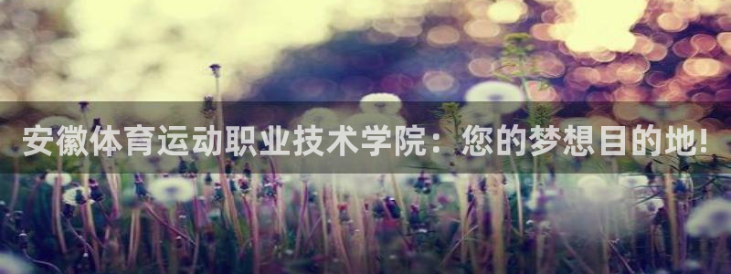 必发官网下载平台注册要钱吗安全吗：安徽体育运动职业技
