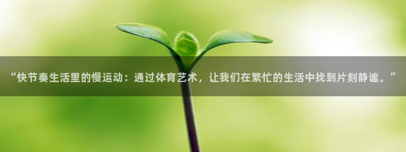 必发官方正版app娱乐首页官网下载：“快节奏生活里的