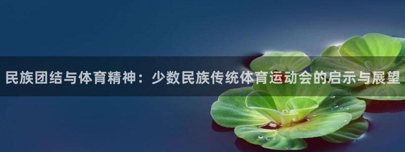必发官方正版app集团官网网址：民族团结与体育精神：