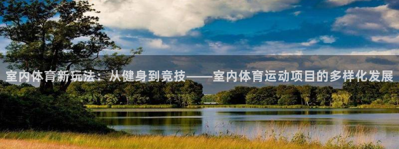 必发官方正版app娱乐平台：室内体育新玩法：从健身到竞技——