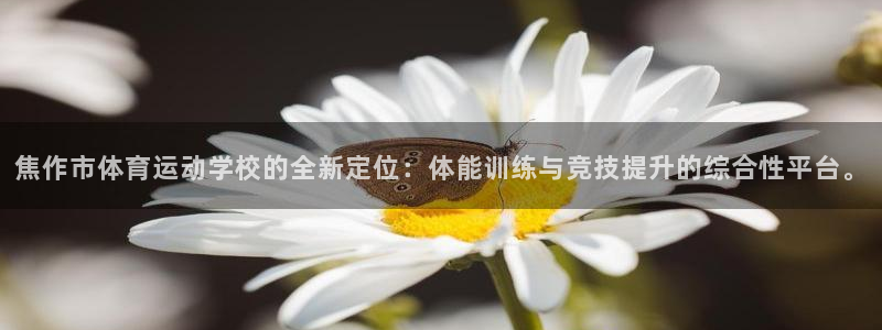 必发官网下载娱乐