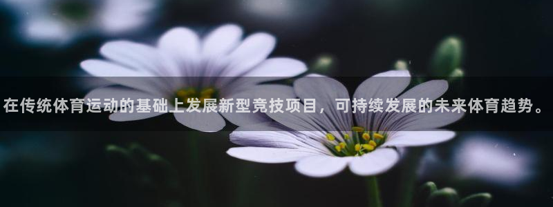 必发官网下载招商电话号码是多少啊：在传统体育运动的基础上发展