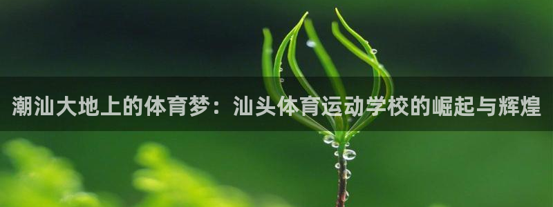 必发官方正版app集团：潮汕大地上的体育梦：汕头体育运动学校
