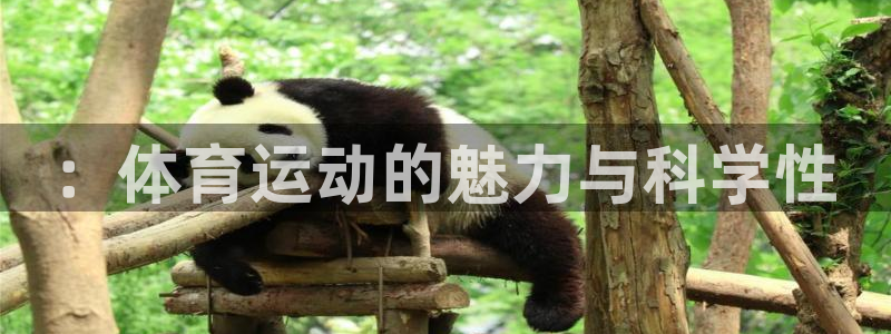 必发官网下载招商电话号码查询是多少：：体育运动的魅力