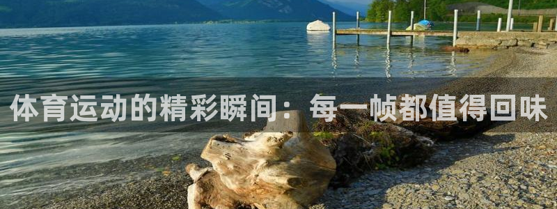 必发官方正版app集团官网首页网址：体育运动的精彩瞬