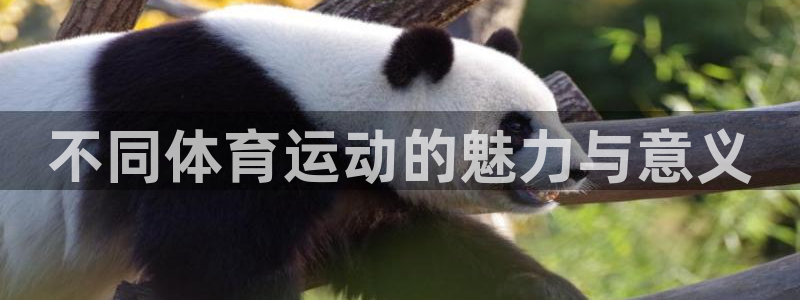 必发官方正版app集团官网网址