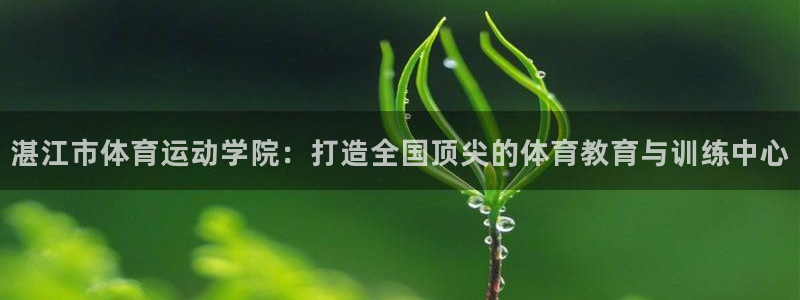 必发官方正版app代理