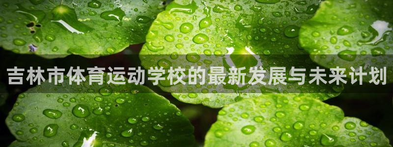 必发官网下载联系电话：吉林市体育运动学校的最新发展与未来计划