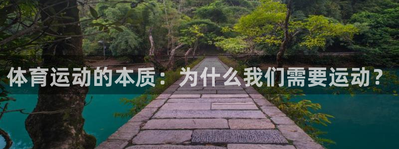 必发官网下载：体育运动的本质：为什么我们需要运动？