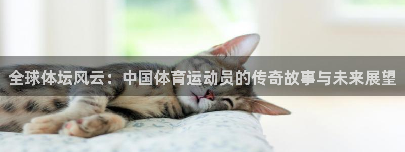 必发官网下载平台是正规平台吗知乎：全球体坛风云：中国体育运动