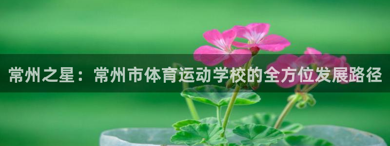 必发官网下载平台是正规平台吗:常州之星:常州市体育运动学校的