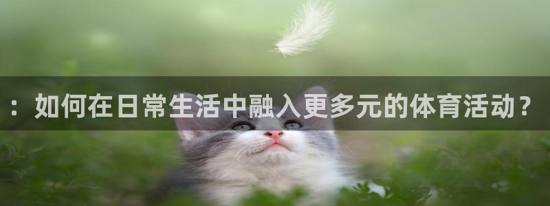 必发官方正版app娱乐：：如何在日常生活中融入更多元的体育活