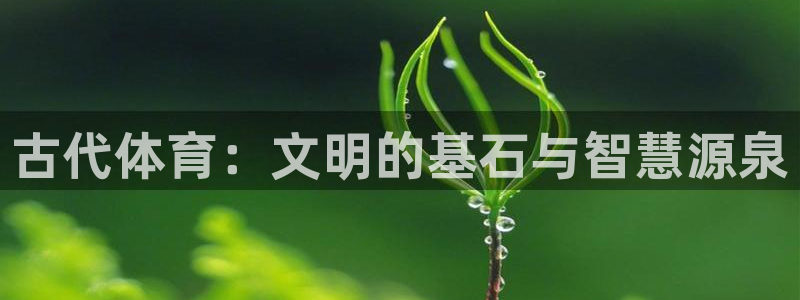 必发官网下载平台注册流程视频：古代体育：文明的基石与智慧源泉