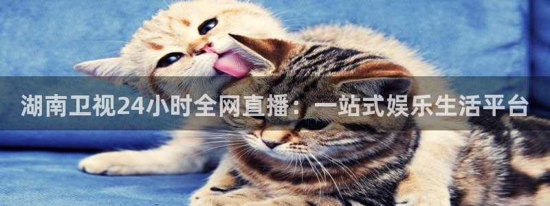 上海五星体育直播上海三打一：湖南卫视24小时全网直播：一站式娱乐生活平台